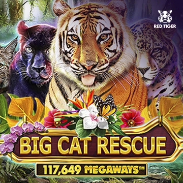 Big Cat Rescue Megaways - QUEENBET138