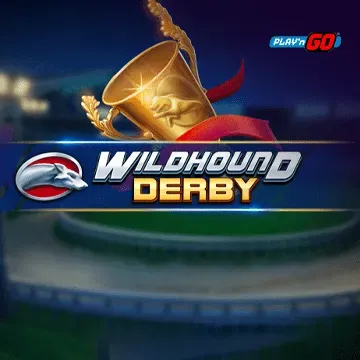 Wildhound Derby - QUEENBET138