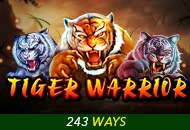 Tiger Warrior - QUEENBET138